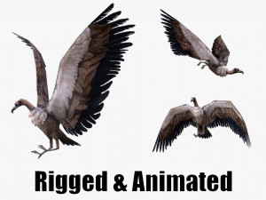 Low-poly animated vulture 3D Model