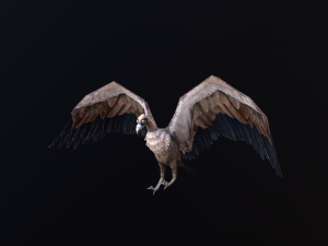 Low-poly animated vulture 3D Model