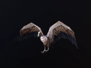 Low-poly animated vulture 3D Model