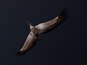 Low-poly animated vulture 3D Model