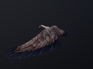 Low-poly animated vulture 3D Model