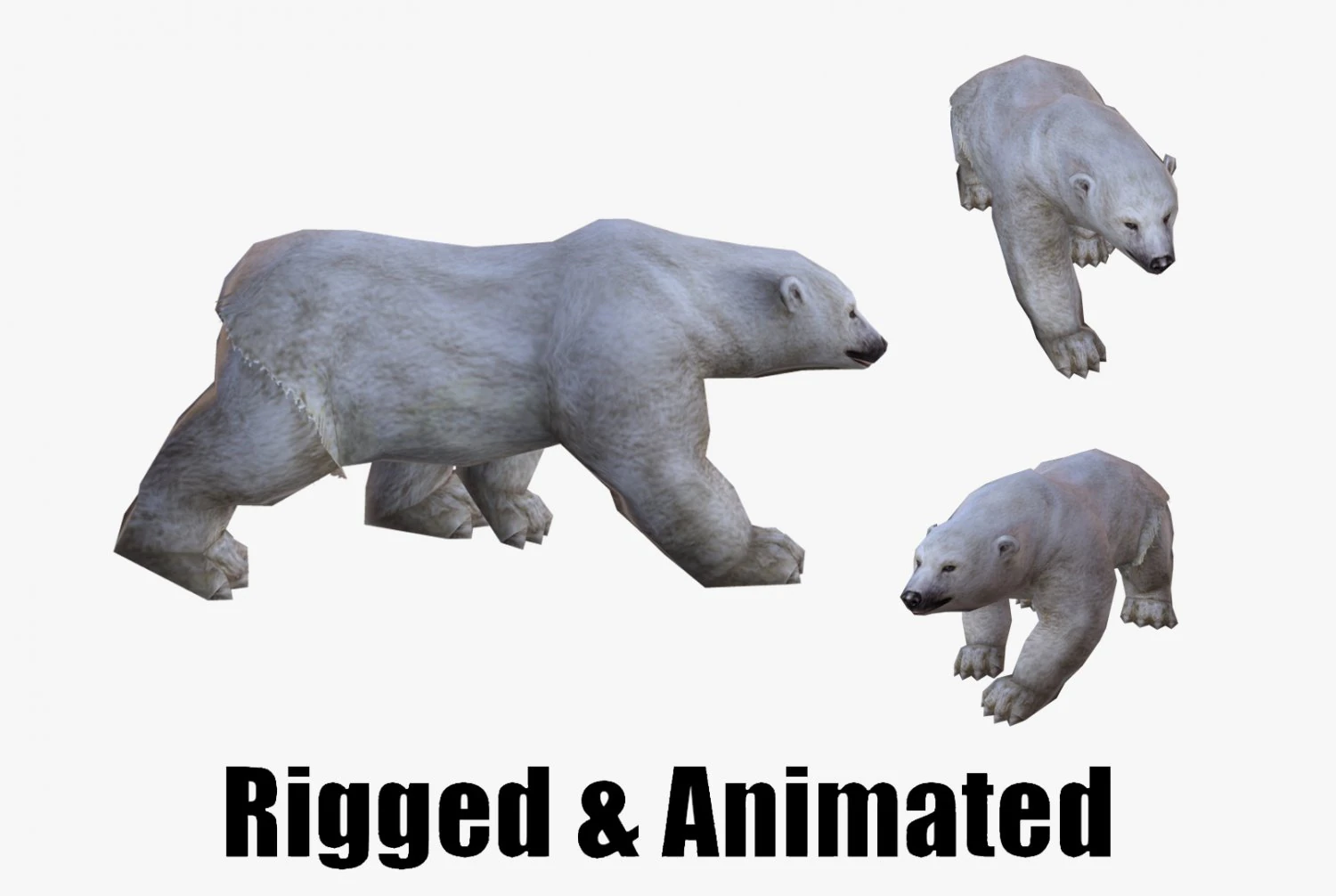 Low-poly animated polar bear 3D Model .c4d .max .obj .3ds .fbx .stl .blend 
