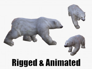 Low-poly animated polar bear Model 3D