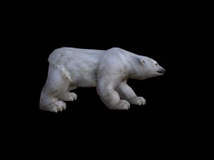 Low-poly animated polar bear 3D Model
