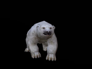 Low-poly animated polar bear 3D Model