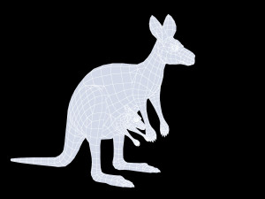 Animated kangaroo with baby 3D Model