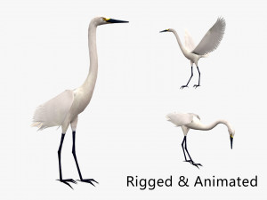Animated egret 3D Model