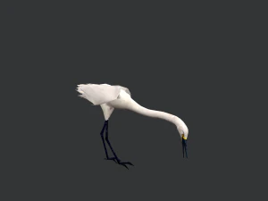 Animated egret 3D Model