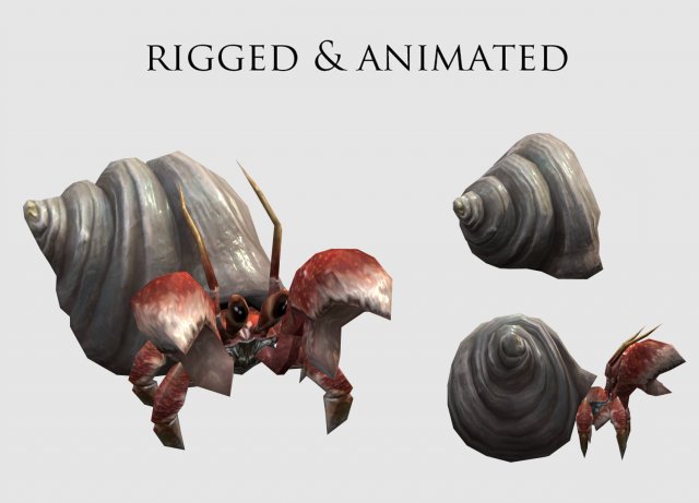Animated Hermit crab Modelo 3D .c4d .max .obj .3ds .fbx .stl .blend 
