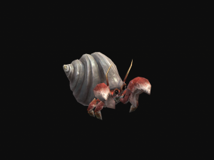 Animated Hermit crab Modelo 3D