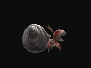 アニメーションのヤドカリ 3Dモデル