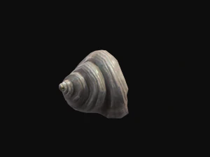 アニメーションのヤドカリ 3Dモデル