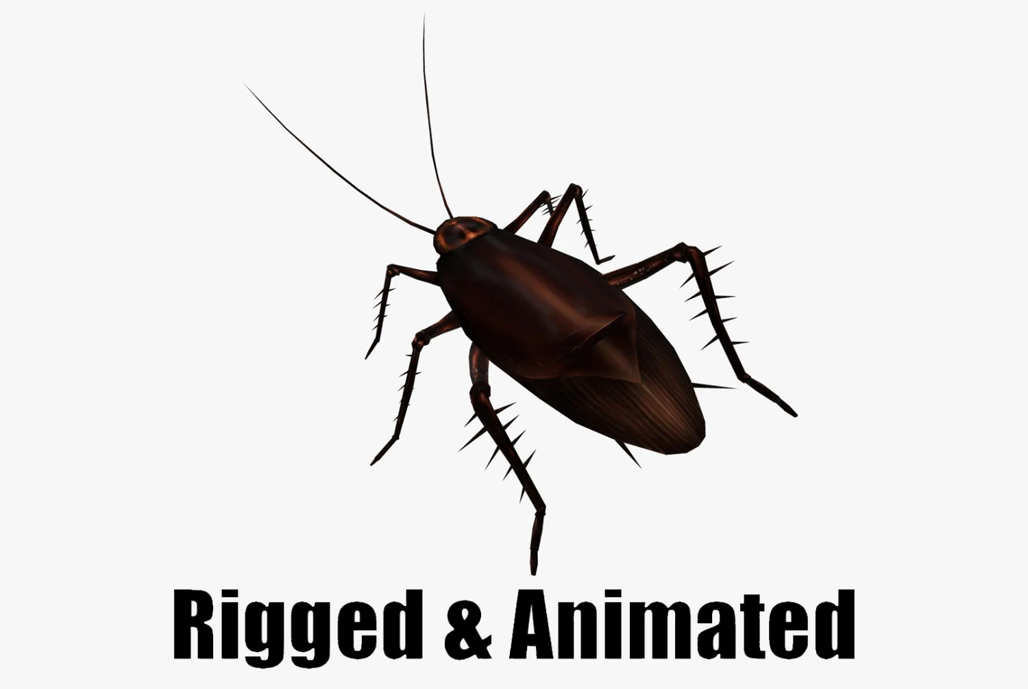 Animated cockroach 3D Model .c4d .max .obj .3ds .fbx .stl .blend 