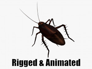 Animated cockroach 3D 모델