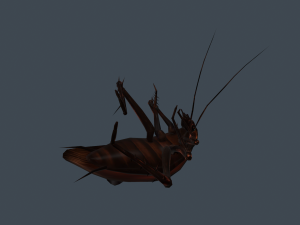 Animated cockroach 3D 模型