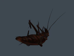 Animated cockroach 3D Model