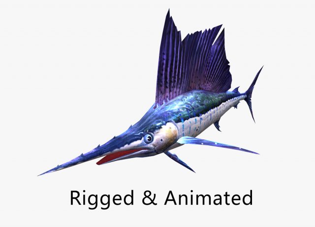 Animated sailfish billfish 3D 모델 .c4d .max .obj .3ds .fbx .stl .blend 