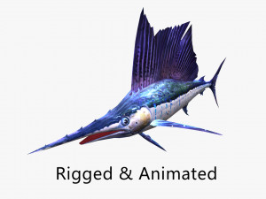Animated sailfish billfish 3D 모델
