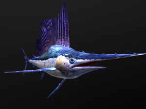 Animated sailfish billfish 3D Model