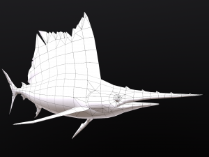 Animated sailfish billfish 3D 모델