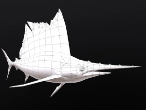 Animated sailfish billfish 3D Model