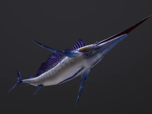 Animated sailfish billfish 3D Model