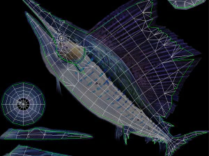 Animated sailfish billfish 3D Model