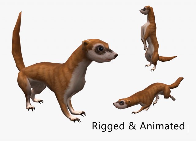 Animated weasel Model 3D .c4d .max .obj .3ds .fbx .stl .blend 