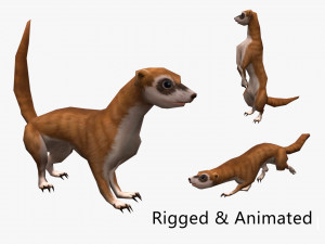 Animated weasel 3D Model