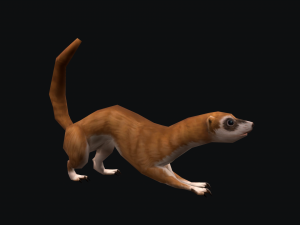 Animated weasel Model 3D