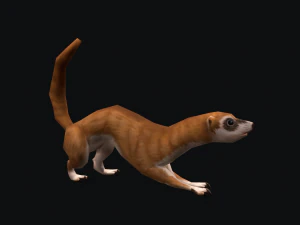 Animated weasel 3D Model