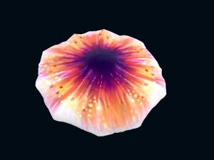 Low-poly animated jellyfish 3D Model