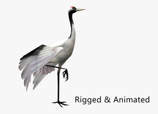 Low-poly animated crane bird 3D मॉडल .c4d .max .obj .3ds .fbx .stl .blend 