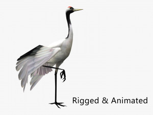 Low-poly animated crane bird 3D Model