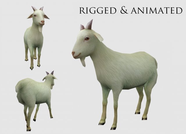 Animated goat sheep 3D 模型 .c4d .max .obj .3ds .fbx .stl .blend 