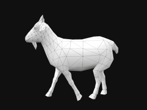 Animated goat sheep 3D 模型