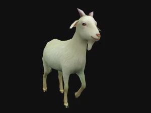 Animated goat sheep 3D Model