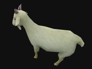 Animated goat sheep 3D Model