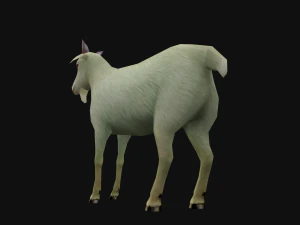 Animated goat sheep 3D Model