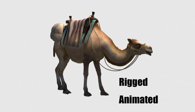 Animated camel luggage 3D मॉडल .c4d .max .obj .3ds .fbx .stl .blend 