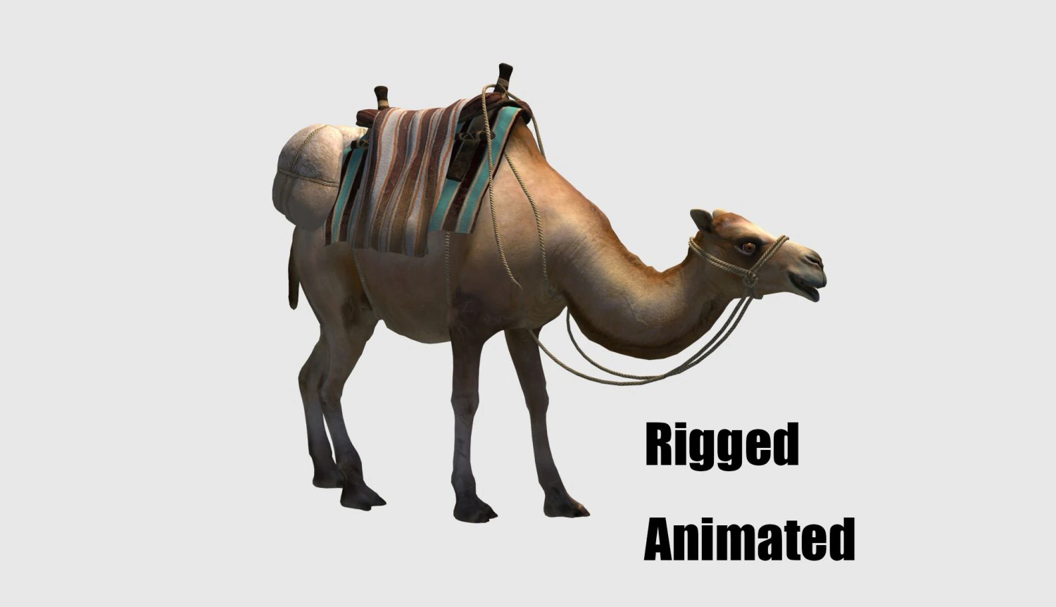 Animated camel luggage 3D Model .c4d .max .obj .3ds .fbx .stl .blend 