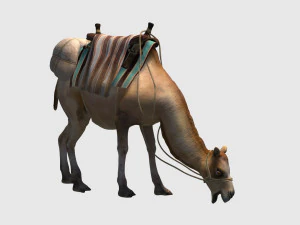 Animated camel luggage 3D Model