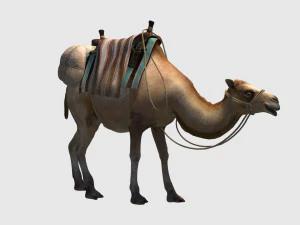Animated camel luggage 3D Model