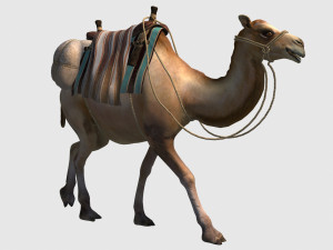 Animated camel luggage 3D मॉडल