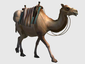 Animated camel luggage 3D Model
