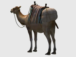 Animated camel luggage 3D Model