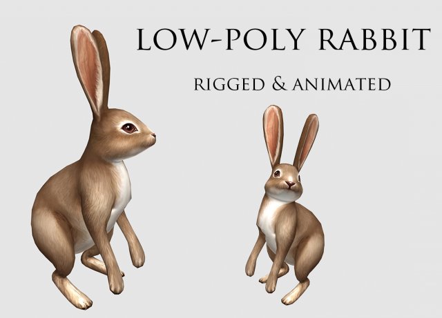 Aniamted rabbit 3D Model .c4d .max .obj .3ds .fbx .stl .blend 