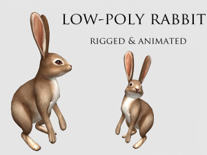 Aniamted rabbit Modèle 3D