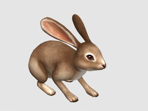 Aniamted rabbit 3D Model