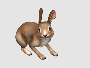 Aniamted rabbit 3D Model